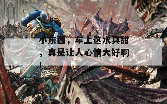 小东西，车上这水真甜，真是让人心情大好啊！