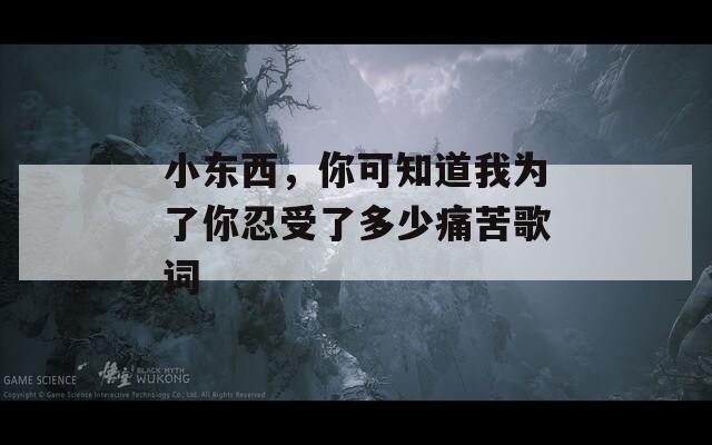 小东西，你可知道我为了你忍受了多少痛苦歌词