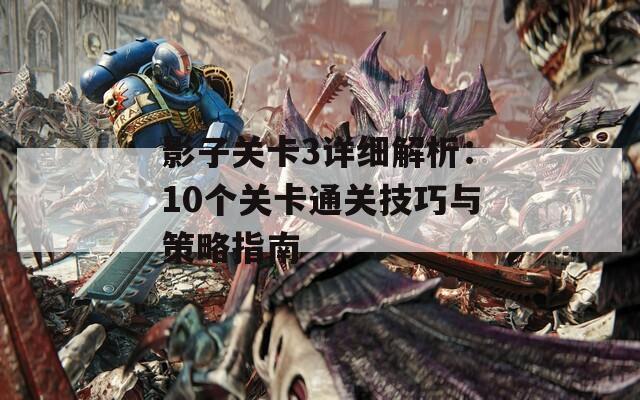影子关卡3详细解析：10个关卡通关技巧与策略指南