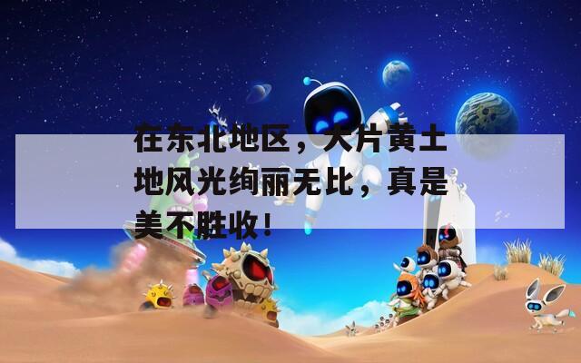 在东北地区，大片黄土地风光绚丽无比，真是美不胜收！