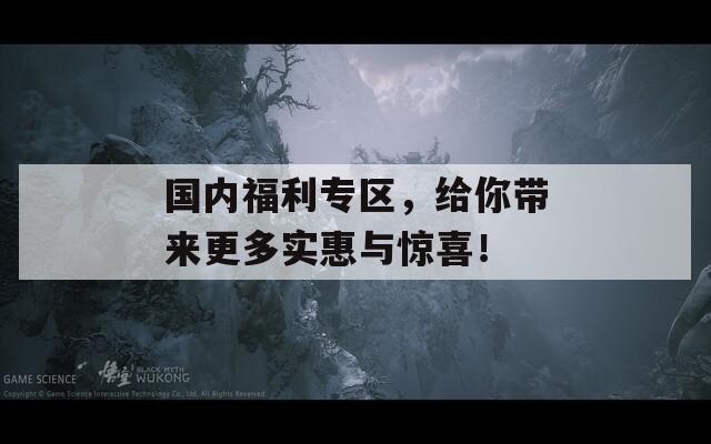 国内福利专区，给你带来更多实惠与惊喜！