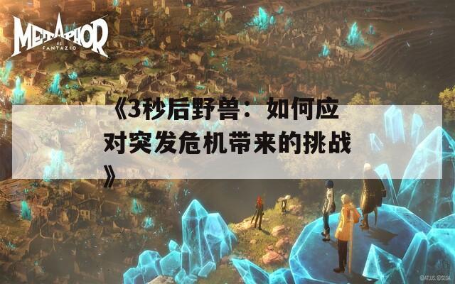 《3秒后野兽：如何应对突发危机带来的挑战》