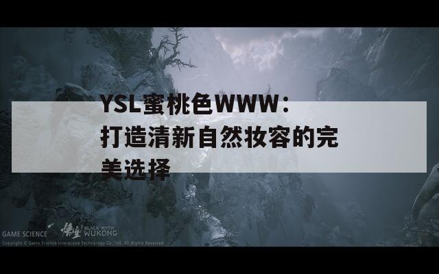 YSL蜜桃色WWW：打造清新自然妆容的完美选择