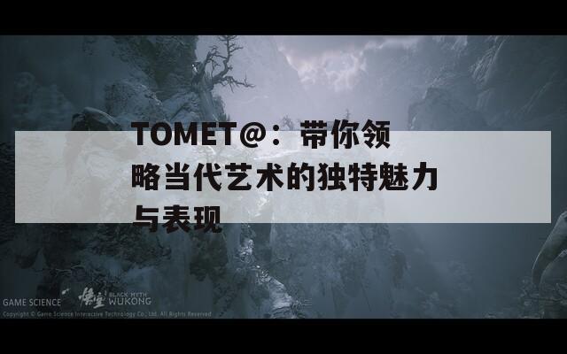 TOMET@：带你领略当代艺术的独特魅力与表现