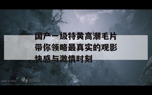 国产一级特黄高潮毛片带你领略最真实的观影快感与激情时刻
