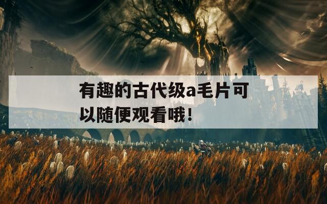 有趣的古代级a毛片可以随便观看哦！