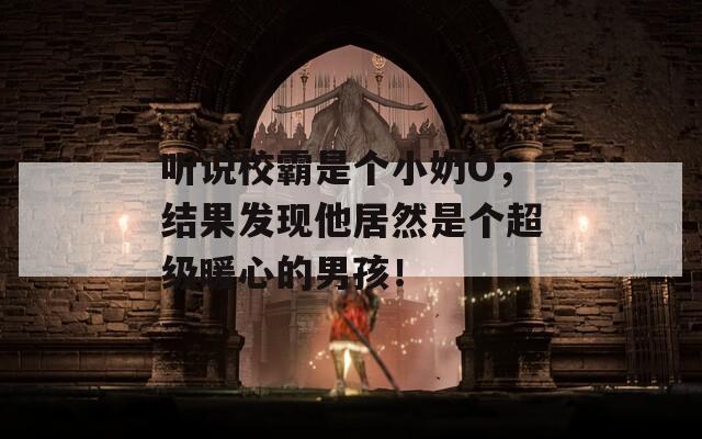 听说校霸是个小奶O，结果发现他居然是个超级暖心的男孩！