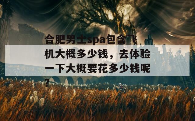 合肥男士spa包含飞机大概多少钱，去体验一下大概要花多少钱呢？