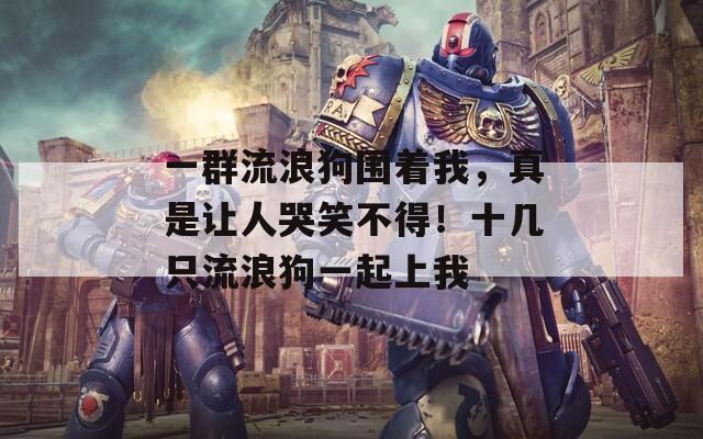 一群流浪狗围着我，真是让人哭笑不得！十几只流浪狗一起上我