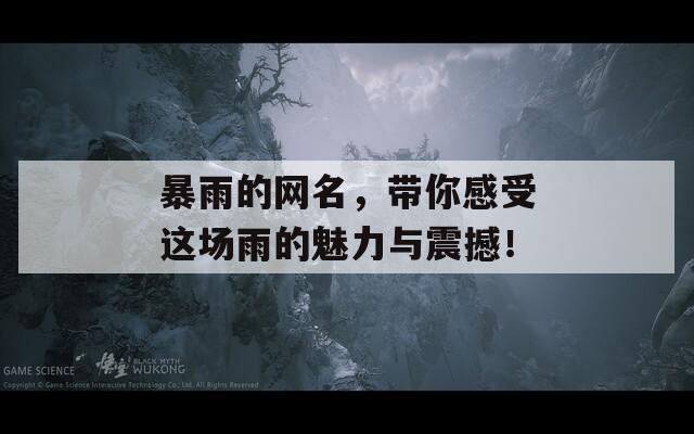 暴雨的网名，带你感受这场雨的魅力与震撼！
