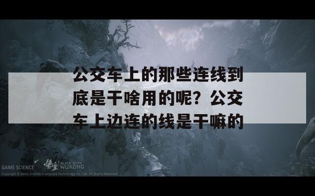 公交车上的那些连线到底是干啥用的呢？公交车上边连的线是干嘛的