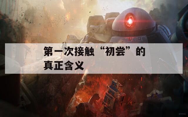 第一次接触“初尝”的真正含义