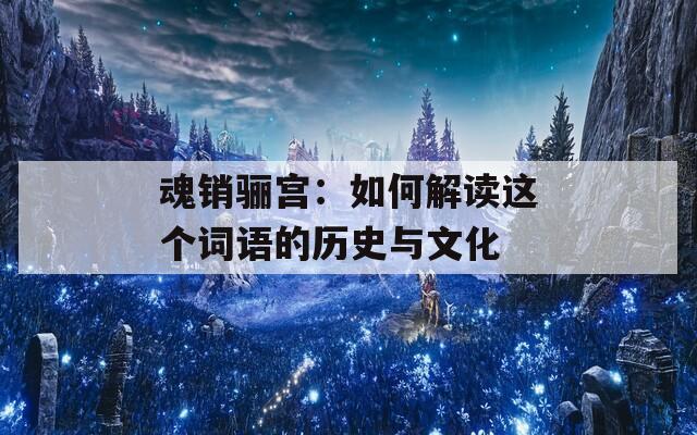 魂销骊宫：如何解读这个词语的历史与文化