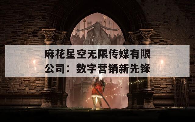 麻花星空无限传媒有限公司：数字营销新先锋
