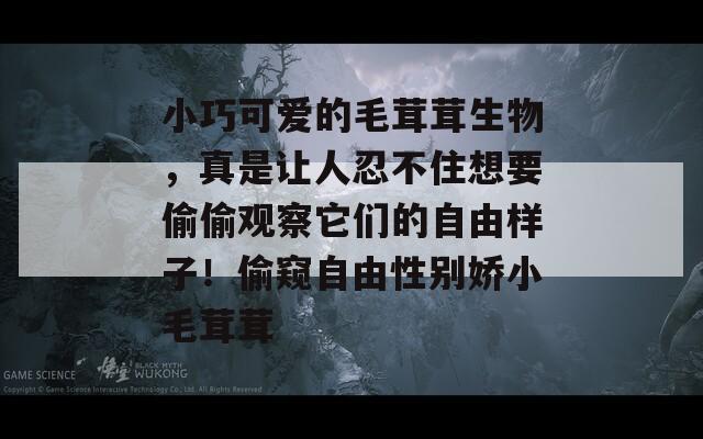 小巧可爱的毛茸茸生物，真是让人忍不住想要偷偷观察它们的自由样子！偷窥自由性别娇小毛茸茸