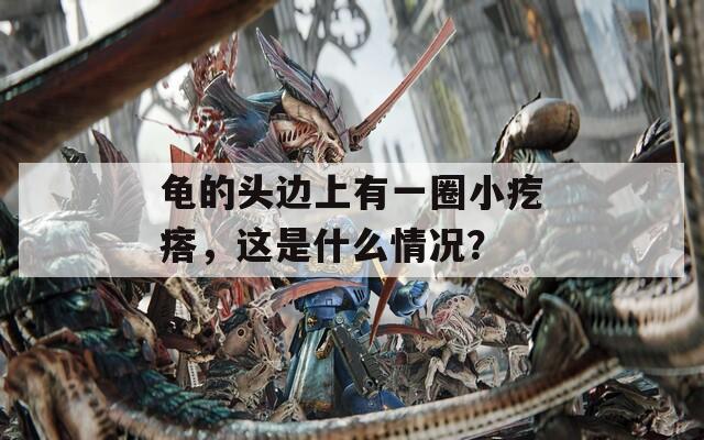 龟的头边上有一圈小疙瘩，这是什么情况？