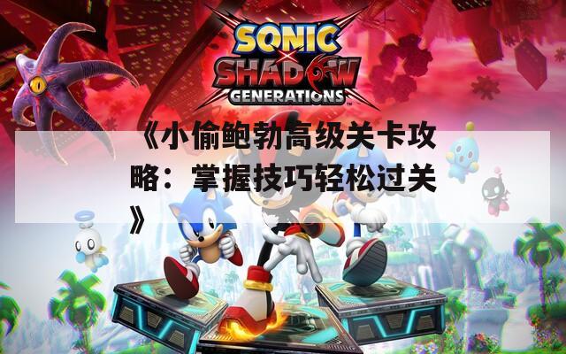 《小偷鲍勃高级关卡攻略：掌握技巧轻松过关》