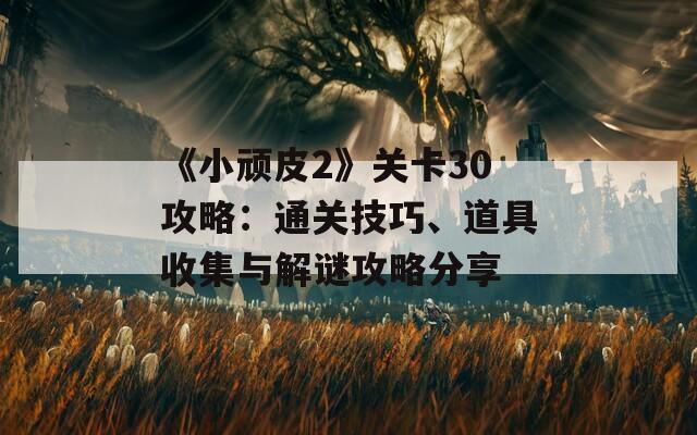 《小顽皮2》关卡30攻略：通关技巧、道具收集与解谜攻略分享