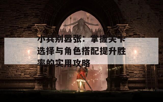 小兵别嚣张：掌握关卡选择与角色搭配提升胜率的实用攻略