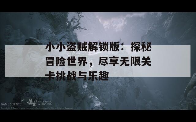小小盗贼解锁版：探秘冒险世界，尽享无限关卡挑战与乐趣