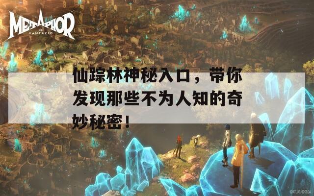仙踪林神秘入口，带你发现那些不为人知的奇妙秘密！