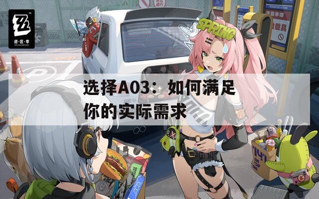 选择A03：如何满足你的实际需求