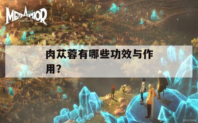 肉苁蓉有哪些功效与作用？