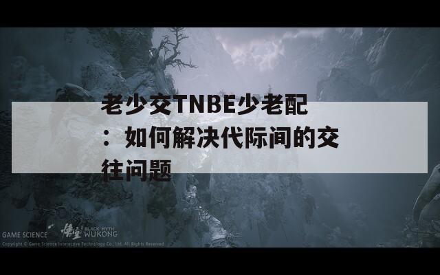 老少交TNBE少老配：如何解决代际间的交往问题