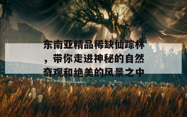 东南亚精品稀缺仙踪林，带你走进神秘的自然奇观和绝美的风景之中