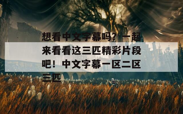 想看中文字幕吗？一起来看看这三匹精彩片段吧！中文字幕一区二区三匹