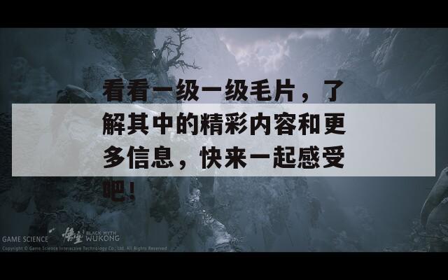看看一级一级毛片，了解其中的精彩内容和更多信息，快来一起感受吧！