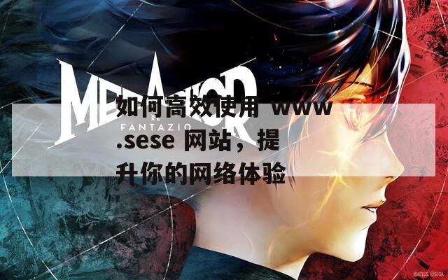 如何高效使用 www.sese 网站，提升你的网络体验