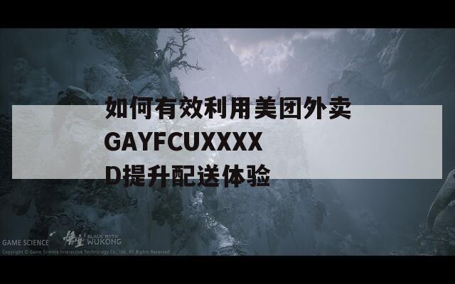 如何有效利用美团外卖GAYFCUXXXXD提升配送体验