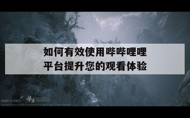如何有效使用哔哔哩哩平台提升您的观看体验