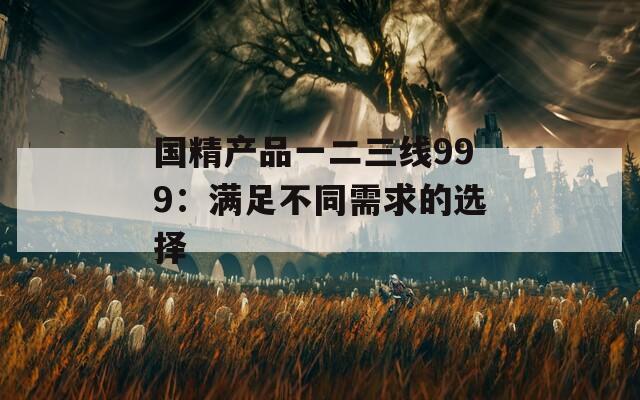 国精产品一二三线999：满足不同需求的选择