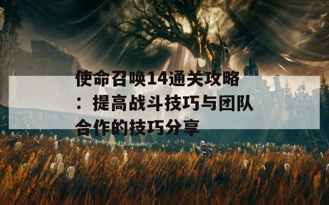 使命召唤14通关攻略：提高战斗技巧与团队合作的技巧分享
