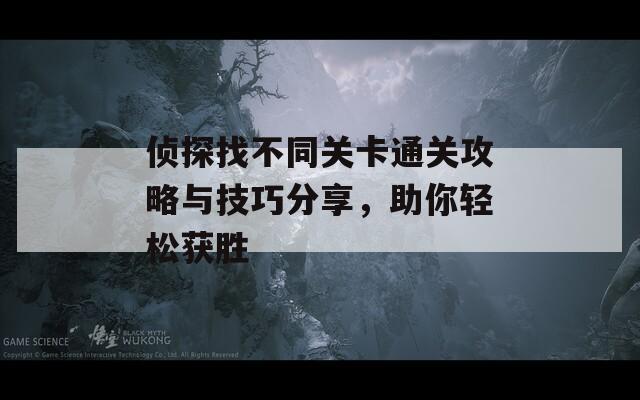 侦探找不同关卡通关攻略与技巧分享，助你轻松获胜