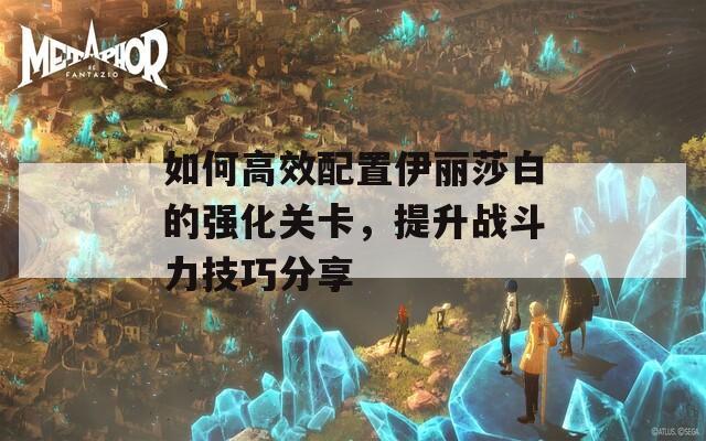 如何高效配置伊丽莎白的强化关卡，提升战斗力技巧分享