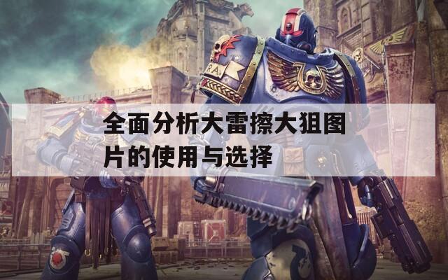 全面分析大雷擦大狙图片的使用与选择