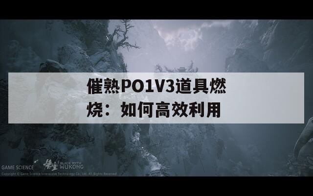 催熟PO1V3道具燃烧：如何高效利用
