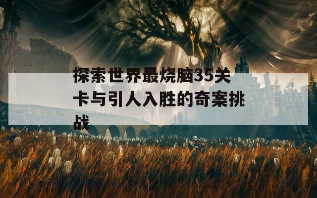 探索世界最烧脑35关卡与引人入胜的奇案挑战