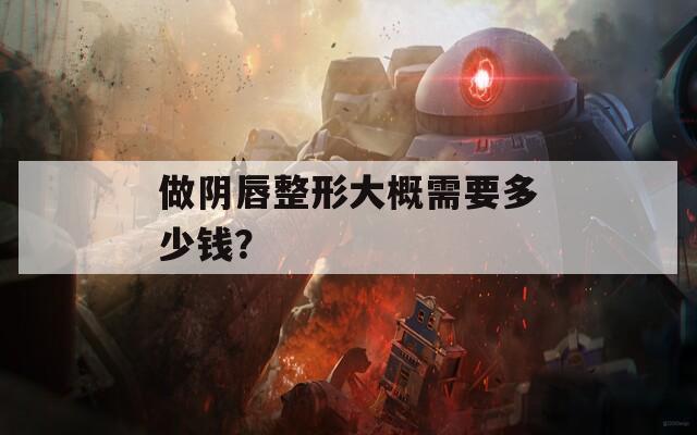 做阴唇整形大概需要多少钱？