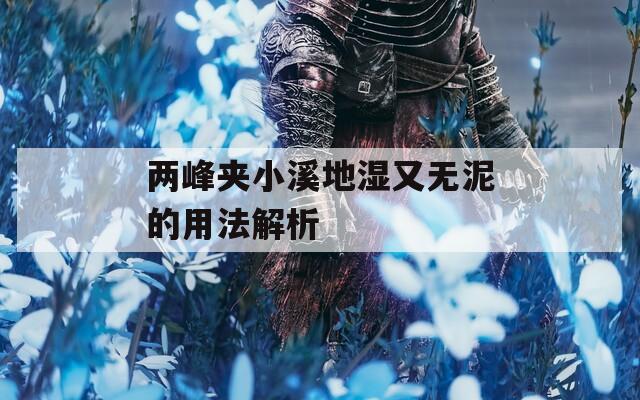 两峰夹小溪地湿又无泥的用法解析