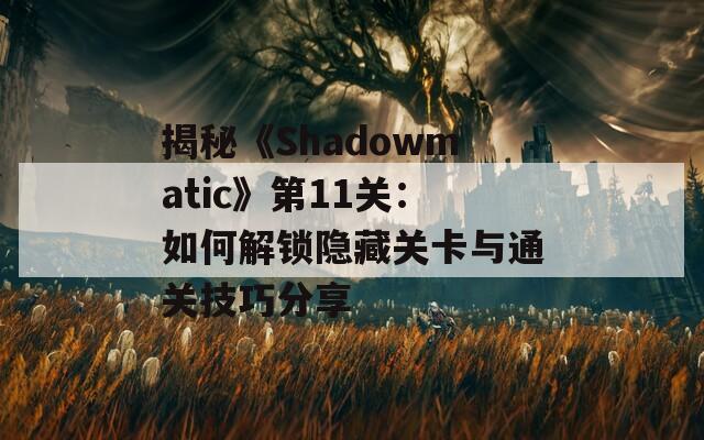 揭秘《Shadowmatic》第11关：如何解锁隐藏关卡与通关技巧分享
