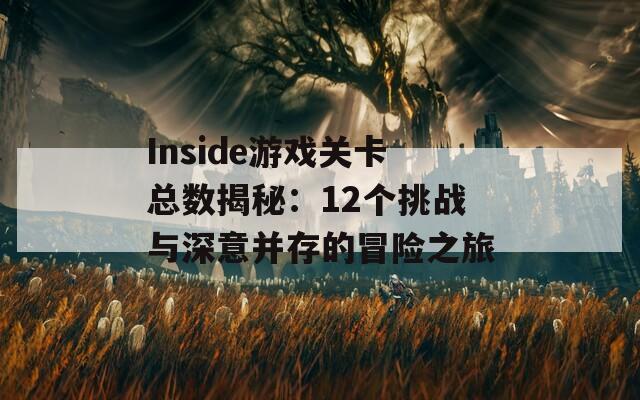 Inside游戏关卡总数揭秘：12个挑战与深意并存的冒险之旅