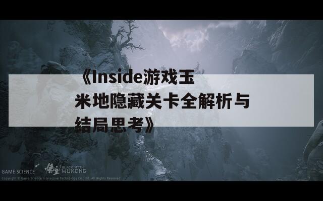 《Inside游戏玉米地隐藏关卡全解析与结局思考》