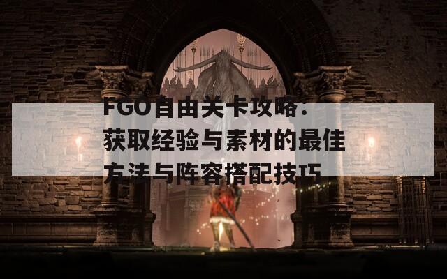 FGO自由关卡攻略：获取经验与素材的最佳方法与阵容搭配技巧