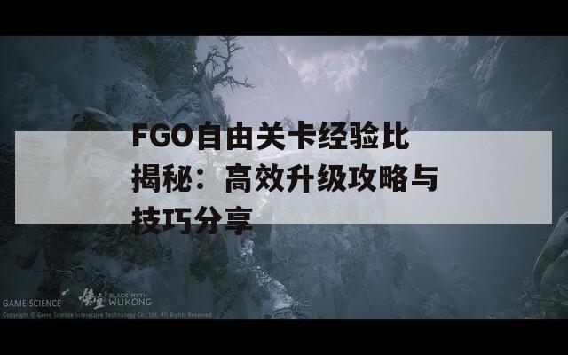 FGO自由关卡经验比揭秘：高效升级攻略与技巧分享