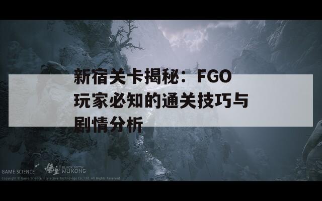 新宿关卡揭秘：FGO玩家必知的通关技巧与剧情分析