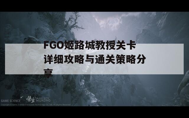 FGO姬路城教授关卡详细攻略与通关策略分享